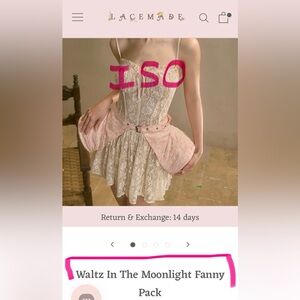 ISO Lacemade Waltz In The Moonlight Fanny Pack In Search Of Not For Sale